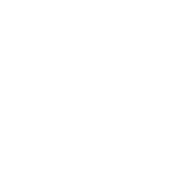 wordpress support